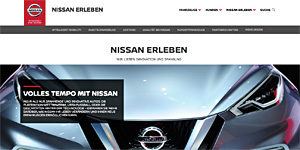 Schlussredaktion der deutschen Landingpages